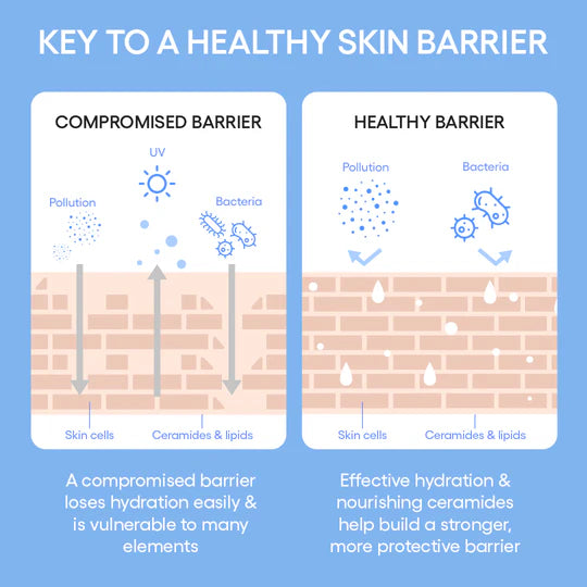 LANEIGE Mini/Travel Size Cream Skin Spray Toner & Moisturizer with Ceramides and Peptides