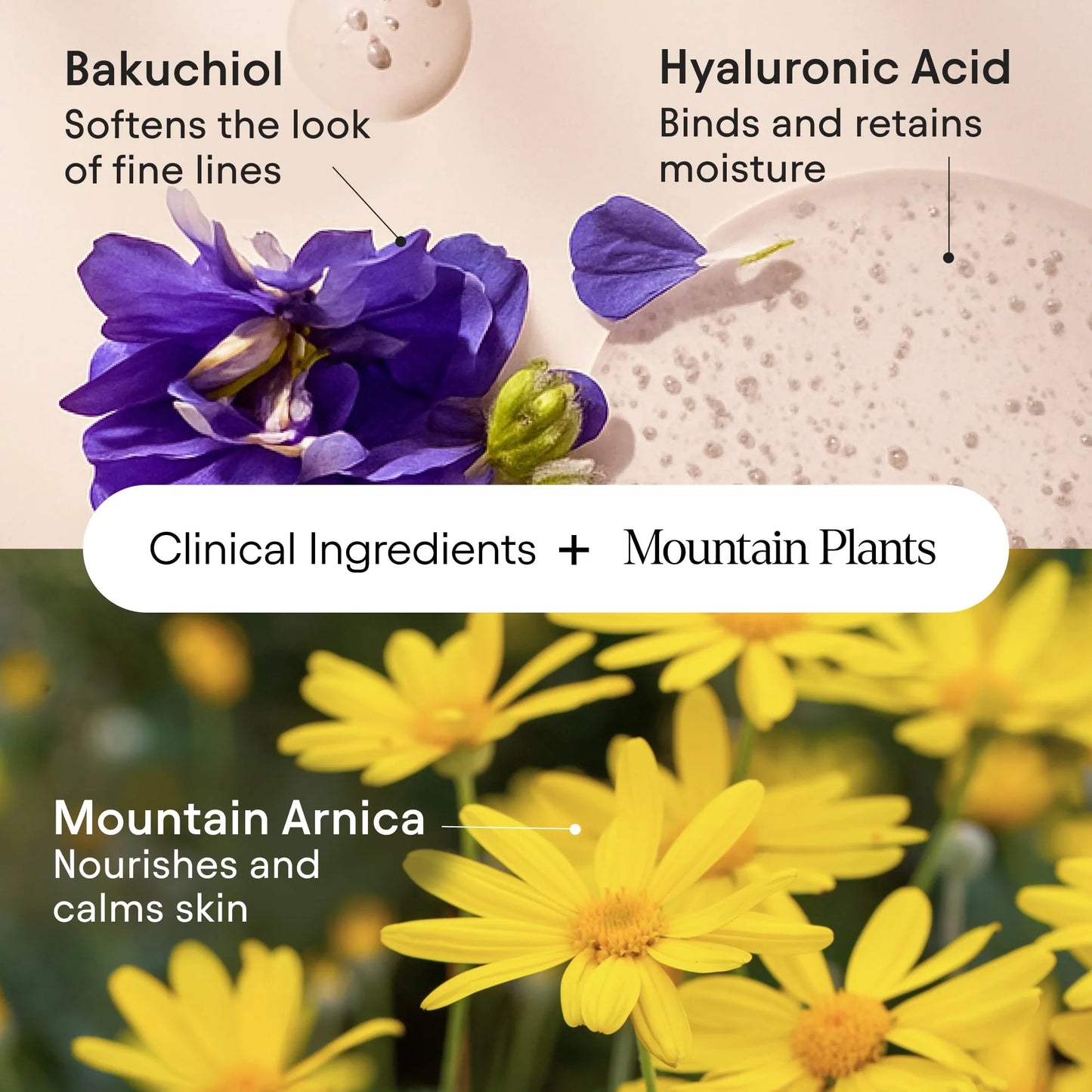 Alpyn Beauty Mini/Travel Size Melt Moisturizer with Bakuchiol and Squalane