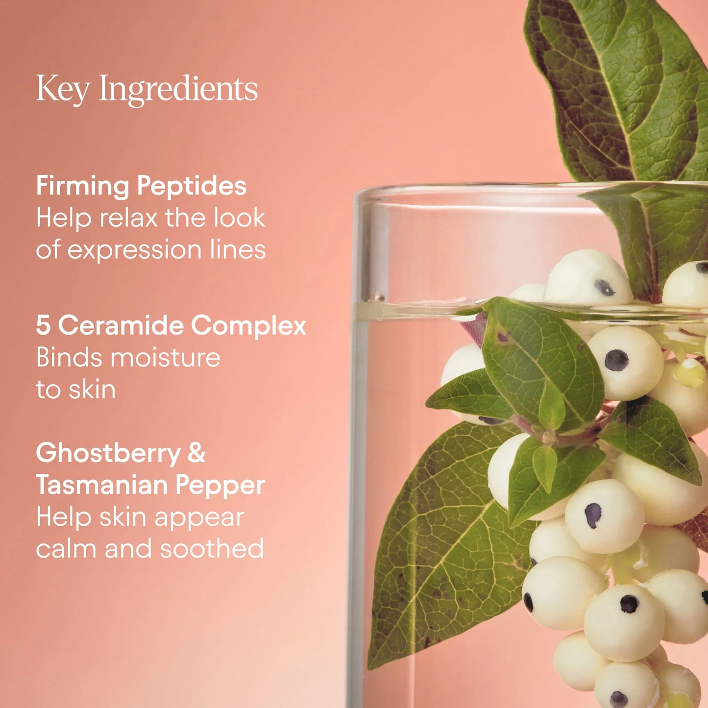 Alpyn Beauty Mini/Travel Size Super Peptide & Ghostberry Moisturizer for Eczema, Barrier and Wrinkle Repair