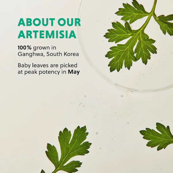 Hanyul Mini/Travel Size Artemisia Soothing Gel Cream Moisturizer with Centella Asiatica and Niacinamide